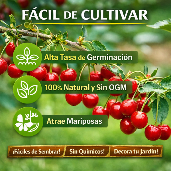 Árbol Cereza Negra Fácil