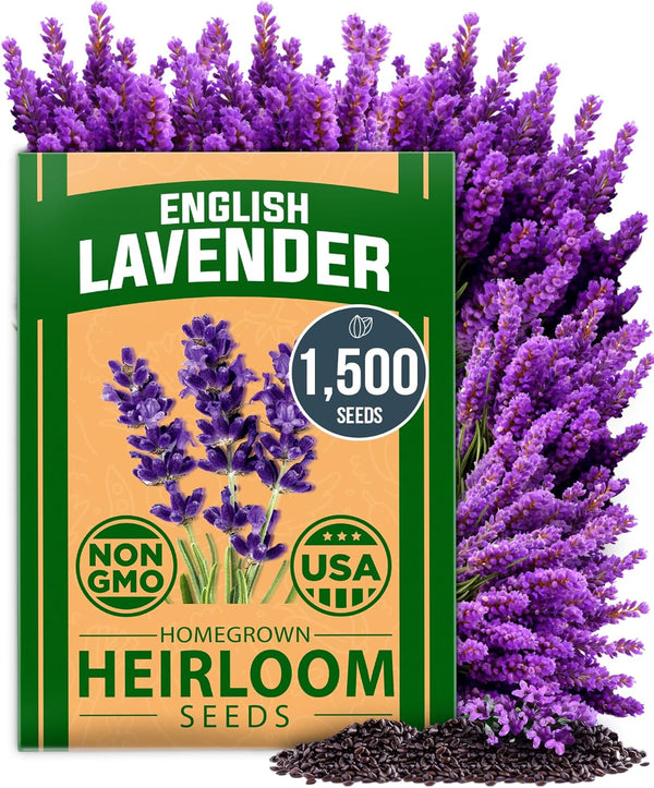 Semillas Lavanda Inglesa